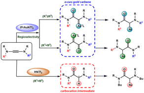 Graphical abstract: Oxidative functionalization of yndiamides catalyzed by gold(i) or Brønsted acid systems: computational study of mechanism, selectivity patterns, and effects of substituents