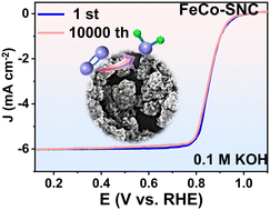 Graphical abstract: Co, Fe decorated N, S co-doped porous carbon enables high stability for the oxygen reduction reaction