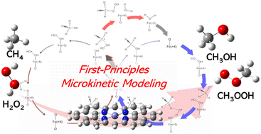 Graphical abstract: First-principles microkinetic modeling of partial methane oxidation over graphene-stabilized single-atom Fe-catalysts