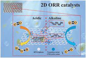 Graphical abstract: A review of research progress and prospects of modified two-dimensional catalysts based on black phosphorus in the oxygen reduction reaction