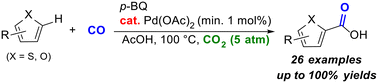 Graphical abstract: Palladium-catalyzed direct carbonylation of thiophenes and furans under CO/CO2-binary conditions leading to carboxylic acids