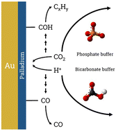 Graphical abstract: The effect of surface conditions on the electrochemical CO2 reduction performance of bimetallic AuPd electrocatalysts