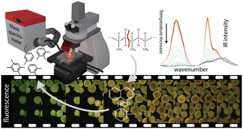 Graphical abstract: Unravelling potential reaction intermediates during catalytic pyrolysis of polypropylene with microscopy and spectroscopy
