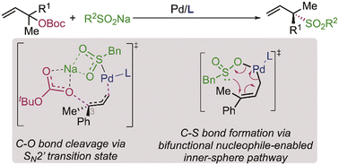 Graphical abstract: Mechanism of palladium-catalyzed allylic substitution of tertiary allylic carbonates with sodium sulfinates: unusual bifunctional nucleophile-enabled inner-sphere pathway and origin of regio- and enantioselectivities