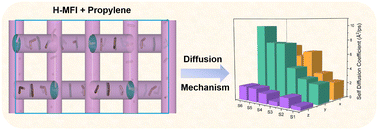 Graphical abstract: Influence of temperatures and loadings on olefin diffusion in MFI-type zeolites in one- to three-dimensions