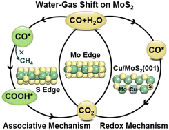 Graphical abstract: Synergistic effect and coordination environment tuned water-gas shift reaction on MoS2 catalyst