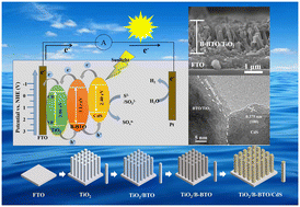 Graphical abstract: Synthesis and improved photoelectrochemical performances of oxygen-deficient TiO2/black-BaTiO3/CdS multiple-heterojunction nanoarrays
