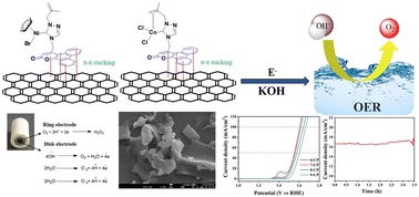 Graphical abstract: Comprehensive enhancement in electrocatalytic oxygen evolution performance of nickel and cobalt complexes derived from π-conjugated N-heterocyclic carbene ligands through carbon composite strategy