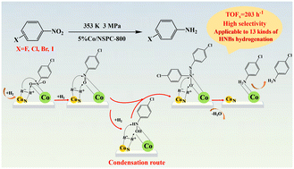 Graphical abstract: Efficient Co/NSPC catalyst for selective hydrogenation of halonitrobenzenes and mechanistic insight