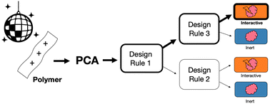 Graphical abstract: An interpretable machine learning framework for modelling macromolecular interaction mechanisms with nuclear magnetic resonance