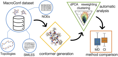 Graphical abstract: MacroConf – dataset & workflows to assess cyclic peptide solution structures