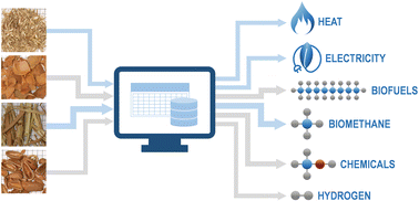 Graphical abstract: Biomass to energy: a machine learning model for optimum gasification pathways