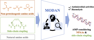 Graphical abstract: Design of antimicrobial peptides containing non-proteinogenic amino acids using multi-objective Bayesian optimisation