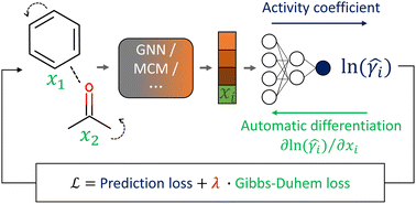 Graphical abstract: Gibbs–Duhem-informed neural networks for binary activity coefficient prediction