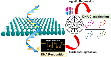 Graphical abstract: Artificial intelligence aided recognition and classification of DNA nucleotides using MoS2 nanochannels