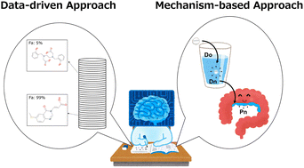 Graphical abstract: Combined data-driven and mechanism-based approaches for human-intestinal-absorption prediction in the early drug-discovery stage