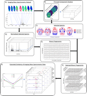 Graphical abstract: Extended similarity methods for efficient data mining in imaging mass spectrometry
