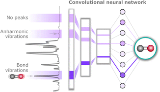 Graphical abstract: Understanding the patterns that neural networks learn from chemical spectra