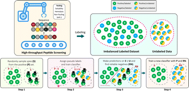 Graphical abstract: Learning peptide properties with positive examples only