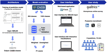 Graphical abstract: Chebifier: automating semantic classification in ChEBI to accelerate data-driven discovery