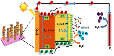 Graphical abstract: NiFePB-modified ZnO/BiVO4 photoanode for PEC water oxidation