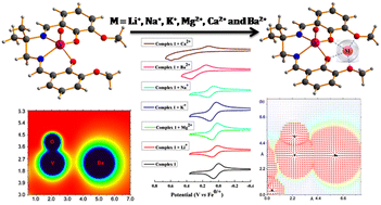 Graphical abstract: Combined effects of the lewis acidity and electric field of proximal redox innocent metal ions on the redox potential of vanadyl Schiff base complexes: an experimental and theoretical study