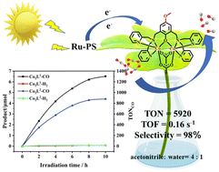 Graphical abstract: Electronic effects promoted the catalytic activities of binuclear Co(ii) complexes for visible-light-driven CO2 reduction in a water-containing system