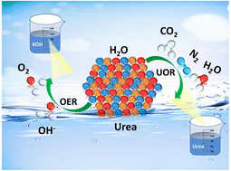 Graphical abstract: In situ construction of WNiM–WNi LDH (M = Se, S, or P) with heterostructure as highly efficient electrocatalyst for overall water splitting and urea oxidation reaction