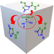 Graphical abstract: Catalysis-free synthesis of thiazolidine–thiourea ligands for metal coordination (Au and Ag) and preliminary cytotoxic studies