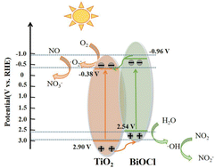 Graphical abstract: Construction of a TiO2/BiOCl heterojunction for enhanced solar photocatalytic oxidation of nitric oxide