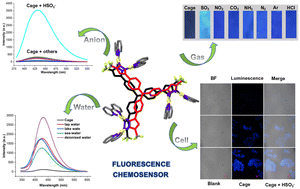 Graphical abstract: Self-assembly of tripyrazolate-linked [M6L2] cages for the selective sensing of HSO3− and gaseous SO2 by turn-on fluorescence