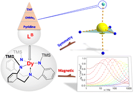Graphical abstract: Role of molecular symmetry in the magnetic relaxation dynamics of five-coordinate Dy(iii) complexes