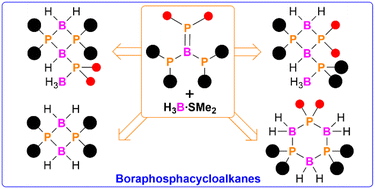 Graphical abstract: Reactivity of triphosphinoboranes towards H3B·SMe2: access to derivatives of boraphosphacycloalkanes with diverse substituents