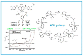 Graphical abstract: Electrocatalytic water oxidation by heteroleptic ruthenium complexes of 2,6-bis(benzimidazolyl)pyridine Scaffold: a mechanistic investigation