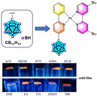 Graphical abstract: Platinum(ii) diimine complexes containing phenylpyridine ligands decorated with anionic closo-monocarborane clusters [CB11H12]−