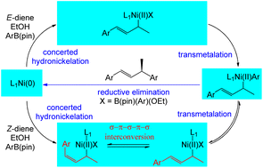 Graphical abstract: Understanding the mechanism and origins of stereoconvergence in nickel-catalyzed hydroarylation of 1,3-dienes with aryl boronates