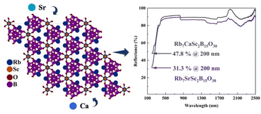 Graphical abstract: Two non-centrosymmetric mixed alkali metal and alkaline earth metal scandium borate nonlinear optical materials with short ultraviolet cutoff edges