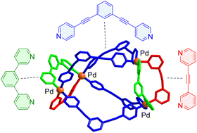 Graphical abstract: Construction of Pd-based coordination cages with three geometrically distinct ligands