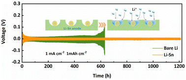 Graphical abstract: Locally regulating Li+ distribution on an electrode surface with Li–Sn alloying nanoparticles for stable lithium metal anodes