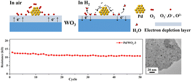 Graphical abstract: Rapid and stable hydrogen detection based on Pd-modified WO3 nanosheets