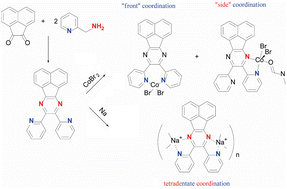 Graphical abstract: Cobalt(ii) coordination to an N4-acenaphthene-based ligand and its sodium complex