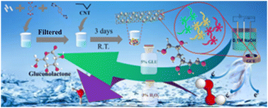 Graphical abstract: Preparation, characterization, and electrochemical sensing performance of a novel pristine Cd-MOF and its composite with carbon nanotubes