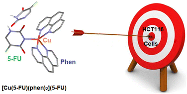 Graphical abstract: Water-soluble copper(ii) 5-fluorouracil complexes bearing polypyridyl co-ligands: synthesis, structures and anticancer activity