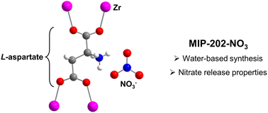 Graphical abstract: Water-based synthesis and nitrate release properties of a ZrIV-based metal–organic framework derived from l-aspartic acid