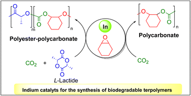 Graphical abstract: One-pot terpolymerization of CHO, CO2 and l-lactide using chloride indium catalysts