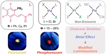 Graphical abstract: Solid state luminescence of phosphine-EWO ligands with fluorinated chalcone skeletons and their PdX2 complexes: metal-promoted phosphorescence enhancement