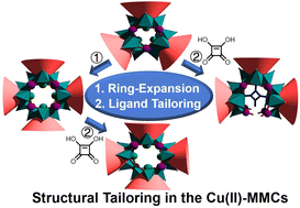 Graphical abstract: Atomically accurate structural tailoring of thiacalix[4]arene-protected copper(ii)-based metallamacrocycles