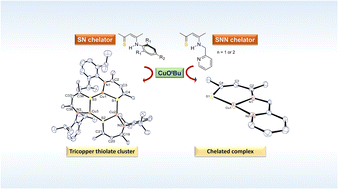 Graphical abstract: Denticity governs the formation of β-thioketiminato tri-copper(i) and mono-copper(i) complexes