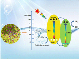 Graphical abstract: Methylthio-functionalized UiO-66 to promote the electron–hole separation of ZnIn2S4 for boosting hydrogen evolution under visible light illumination