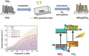 Graphical abstract: Construction of WO3 quantum dots/TiO2 nanowire arrays type II heterojunction via electrostatic self-assembly for efficient solar-driven photoelectrochemical water splitting